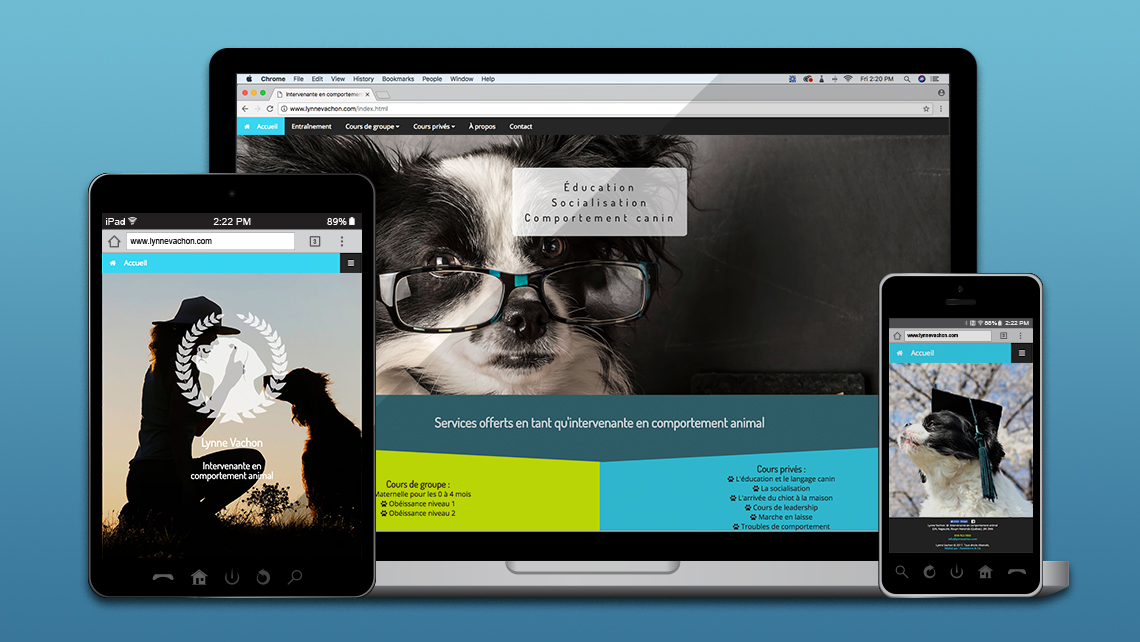 Site web Lynne Vachon 1